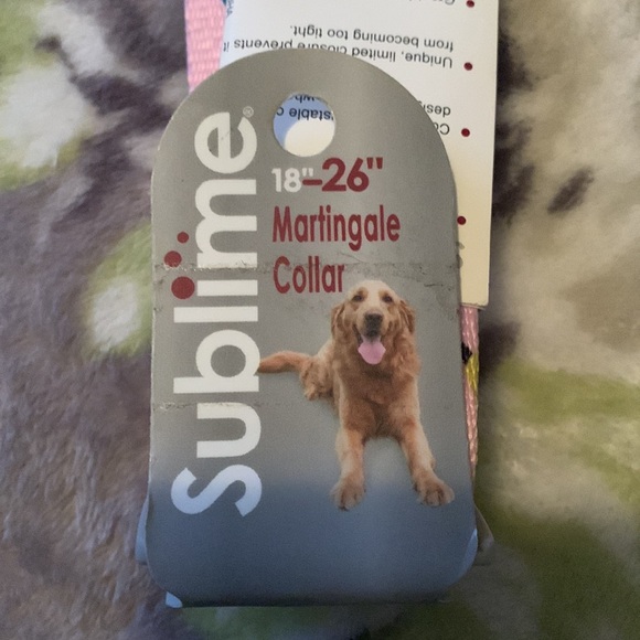 Collar - Picture 3 of 4